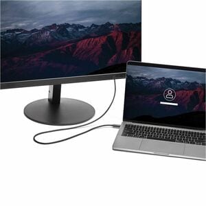 StarTech.com 6ft (2m) USB C to HDMI Cable - 4K 60Hz USB Type C DP Alt Mode to HDMI 2.0 Video Display Adapter Cable - Works