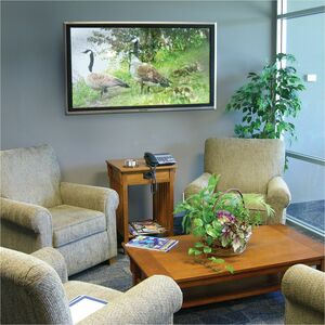 Ergotron 壁挂式安装座 用于 显示, 电视, 平板显示器 - 银 - 106.7 cm (42") 支持屏幕 - 79.38 kg 承载量 - VESA 安装兼容 - 钢