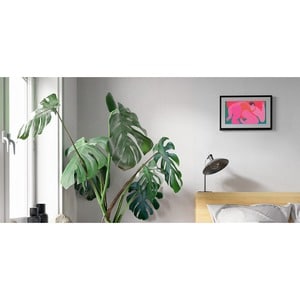 Meural Canvas II Digital Frame - 27" (685.80 mm) LCD Digital Frame - Black - 1920 x 1080 - Wireless - 16:9 - Anti-glare, G