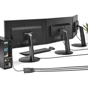 StarTech.com Signal Splitter - Plastic - 30 Hz to 60 Hz - 3840 × 2160 - 15.20 m Maximum Operating Distance - DisplayPort -