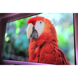 Elite Screens Aeon CLR 3 AR103H-CLR3 103" Fixed Frame Projection Screen - 16:9 - Ceiling Mount