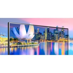 LG Ultrawide 29WP500-B 29" Class UW-UXGA Gaming LCD Monitor - 21:9 - 73.7 cm (29") Viewable - In-plane Switching (IPS) Tec