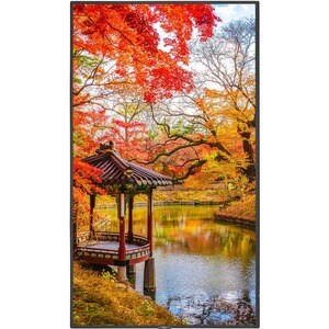 Sharp NEC Display MA491-IR Digital Signage Display - 49" LCD - Touchscreen - High Dynamic Range (HDR) - 3840 x 2160 - Edge