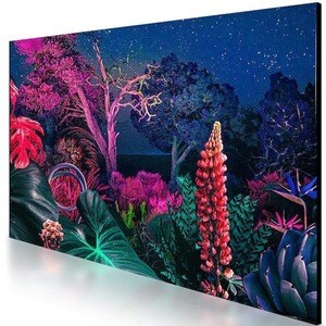 Samsung QM43B 1092.20 mm LCD Digital Signage Display - Cortex A72 1.70 GHz - 3840 x 2160 - 500 cd/m² - 2160p - USB - HDMI 