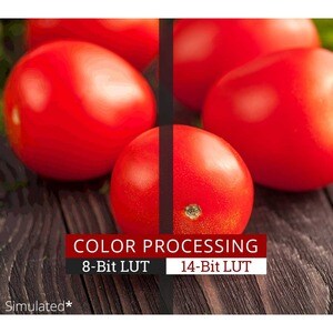 ViewSonic ColorPro VP3881a 38 Zoll Class UW-QHD+ Gekrümmter Bildschirm LED-Monitor - 21:9 Format - 95,3 cm (37,5 Zoll) Vie