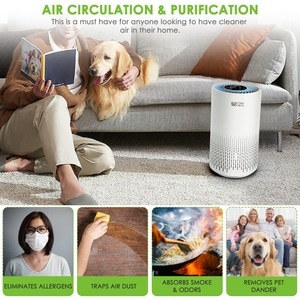 Ultima Cosa Aria Fresca 300 Air Purifier (White) - HEPA, Activated Carbon - 300 Sq. ft. - White