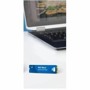 WD Blue WDS500G3B0B 500 GB Solid State Drive - M.2 Internal - SATA - 5 Year Warranty