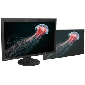 EIZO ColorEdge CG2700X 27" Class 4K UHD LCD Monitor - 16:9 - Black - 68.3 cm (26.9") Viewable - In-plane Switching (IPS) T