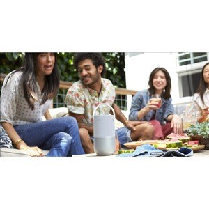 Bose Portable Bluetooth Smart Speaker - Google Assistant, Alexa Supported - Silver - 360° Circle Sound - Wireless LAN - Ba