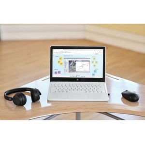 Microsoft Surface Laptop SE 29.5 cm (11.6") Notebook - HD - Intel Celeron N4020 - 8 GB - 128 GB Flash Memory - Glacier - I