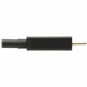 Tripp Lite series U444-06N-DP8W A/V Adapter - 1 x Type C USB 3.1 (Gen 1) USB Male - 1 x DisplayPort DisplayPort 1.4 Digita