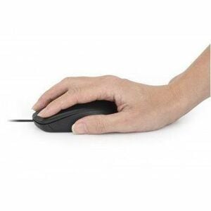 Mouse Optico Estándar USB Negro - Cable - 1000 dpi - Rueda de desplazamiento - Simétrico