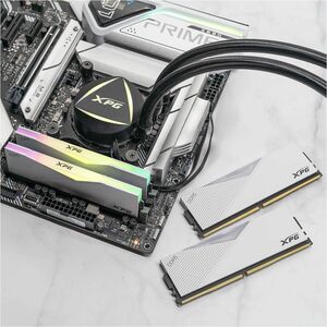 XPG RAM Module - 16 GB - DDR5-7200/PC5-57600 DDR5 SDRAM - 7200 MHz - 1.40 V