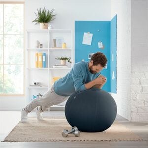 Leitz Exercise Ball - Velvet Gray - Fabric