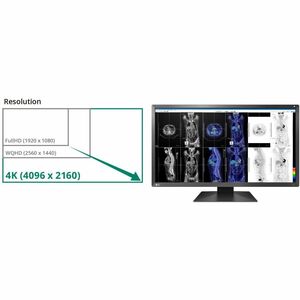 EIZO RadiForce MX317W-BK 31" Class 4K LED Monitor - 17:9 - Black - 30.5" Viewable - In-plane Switching (IPS) Technology - 