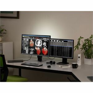 EIZO RadiForce MX317W 31" Class 4K LED Monitor - 17:9 - 77.5 cm (30.5") Viewable - In-plane Switching (IPS) Technology - L