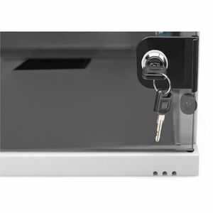 Digitus 4U Wall Mountable Enclosed Cabinet Rack Cabinet for Networking, Equipment - Light Grey - Glass, Sheet Steel - 60 k