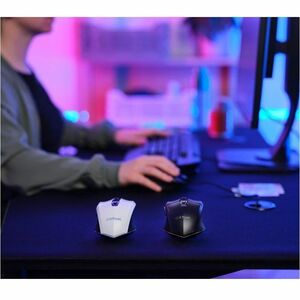 Souris de jeu Optique Trust Felox GXT 110 - Bluetooth/Radio Fréquence - USB 2.0 Type A - 6 Bouton(s) - Noir - Sans fil - 2