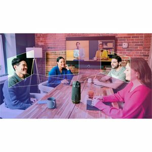 Owl Labs Meeting Owl 4+ Video Conference Equipment - Charcoal - For Video Conferencing, Meeting Room, Huddle Space, Presen