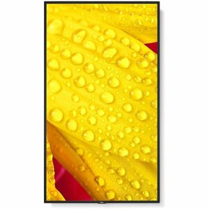 Sharp NEC Display MultiSync M431-2 Digital Signage Display - 43" LCD - In-plane Switching (IPS) Technology - High Dynamic 