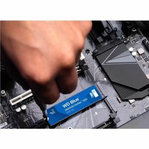WD Blue SN5000 WDS100T4B0E-00CNZ0 1 TB Solid State Drive - M.2 2280 Internal - PCI Express NVMe (PCI Express NVMe 4.0 x4) 