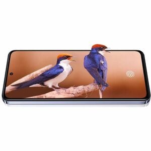 Vivo V40 SE 5G 256 GB Smartphone - 16,8 cm (6,6 Zoll) AMOLED - Octa-Core (Cortex A78Dual-Core 2,20 GHz + Cortex A55 Hexa-C