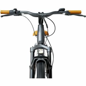 Sharp Straßenfahrrad - Batterie - 250 W Antrieb - Stahl Rahmen6 Gang/Gänge - Schwarz, Braun