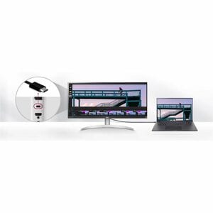 MONITOR LG ULTRAWIDE 29 FHD IPS 1MSSRGB 100HZ USB-C BRANCO