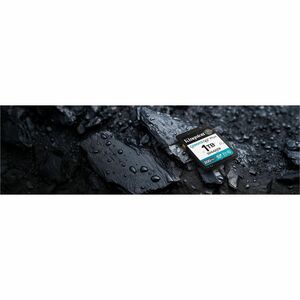 Kingston Canvas Go! Plus 1 TB Class 10/UHS-I (U3) V30 SDXC - 1 - 200 MB/s Read - 160 MB/s Write