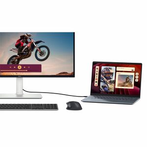 Dell Plus S2725QS 27" Class 4K UHD LED Monitor - 16:9 - 68.6 cm (27") Viewable - In-plane Switching (IPS) Technology - LED