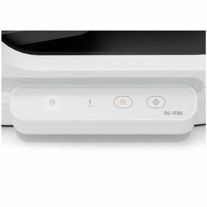 Epson B11B273201 Large Format Flatbed/ADF Scanner - 600 x 1200 dpi Optical - 30-bit Color - 10-bit Grayscale - 30 ppm (Mon