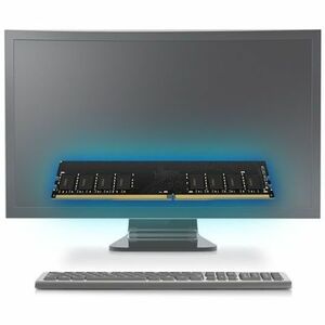 Module mémoire pour Desktop Lexar DDR4 3200 MHz U-DIMM 32Go, 288 broches - Non bufferisé - 288-broches - DIMM
