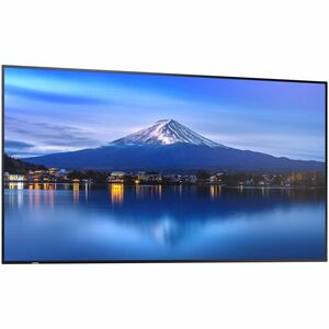 Sharp NEC Display MultiSync P556 1386,84 mm LCD Digital-Signage-Display - 24 Stunden/7 Tage Betrieb - Energy Star - IPS-Te