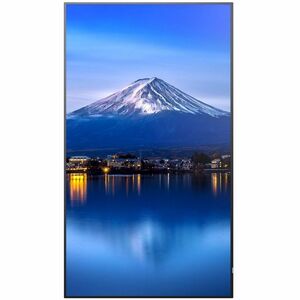 Sharp NEC Display MultiSync PN-P656 1638.30 mm LCD Digital Signage Display - 24 Hours/7 Days Operation - Energy Star - In-