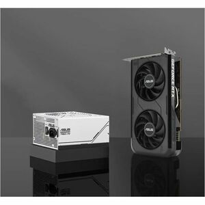 ASUS Dual GeForce RTX 5050 8GB GDDR6