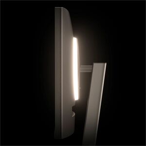 Moniteur LED BenQ RD320U 32" Class 4K UHD - 16:9 - Gris métallisé - 80 cm (31,5") Viewable - Technologie IPS - LED Rétroéc