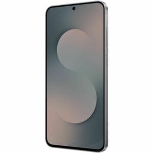Samsung Galaxy S25 FE Enterprise Edition SM-S731B/DS 128 GB Smartphone - 17 cm (6.7") Dynamic AMOLED 2X Full HD Plus 1080 