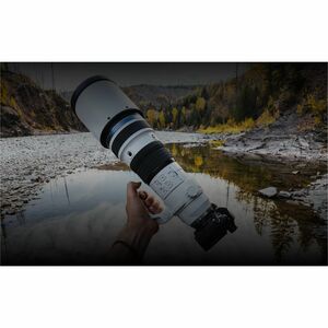 Olympus M.ZUIKO DIGITAL - 150 mm to 400 mm - f/22 - f/4.5 - Telephoto, Ultra Telephoto, Teleconverter Zoom Lens - 95 mm At