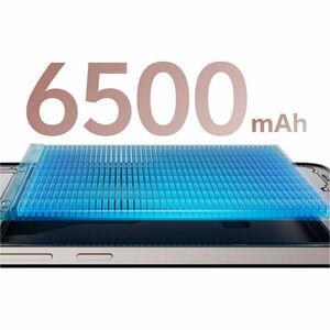 Vivo V50 Lite 5G V2450 256 GB Smartphone - 17,2 cm (6,8 Zoll) AMOLED 2392 x 1080 - Octa-Core (Dual-Core 2,40 GHz Hexa-Core