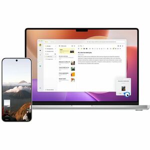 Vivo X300 256 GB Smartphone - 16 cm (6.3") LTPO AMOLED HDR10+ 2640 x 1216 - Octa-core (C1-UltraSingle-core (1 Core) 4.21 G