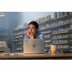 Computer portatile - HP ProBook 4 G1a 35,6 cm (14") - WUXGA - 60 Hz - AMD Ryzen 7 250 - 16 GB - 512 GB SSD - Argento - AMD