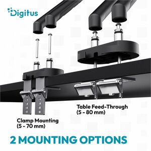 Digitus Desk Mount for Monitor, Flat Panel Display, Curved Screen Display - Black - Height Adjustable - 2 Display(s) Suppo