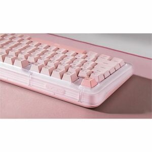Logitech K98S Plus 键盘 - 袖珍的 - 有线/无线 连接 - A 型 USB 接口 - 英文（美国） - QWERTY 布局 - 机械 按键开关 - Bluetooth/RF - 10 m - 2.40 GHz - 97 K