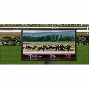 LG 55XE4P-B 55" LCD Digital Signage Display - 24 Hours/7 Days Operation - In-plane Switching (IPS-M+) Technology - 1920 x 