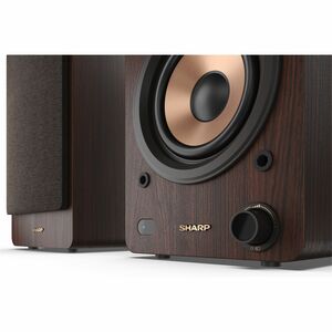 Sharp 2-WegeRegal-Lautsprecher Lautsprecher - 60 W RMS - Braun - Bluetooth - Kabellose Lautsprecher
