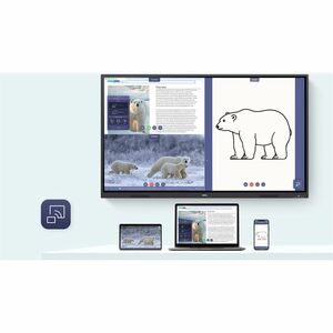 BenQ RE7505A 1905 mm 4K UHD LCD Collaboration Display - 8 GB - 3840 x 2160 - 2160p - Android 16