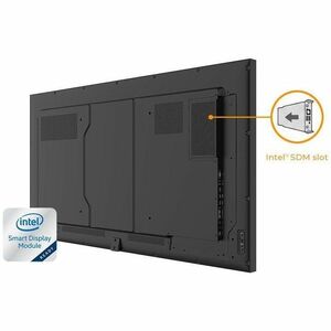 AG Neovo PD-5502 1386.84 mm LCD Digital Signage Display - 24 Hours/7 Days Operation - In-plane Switching (IPS) Technology 
