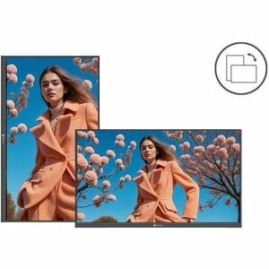 AG Neovo VA-3201 800,10 mm LCD Digital-Signage-Display - 16 Stunden / 7 Tage Betrieb - Vertical-Alignment-Technologie (VA)