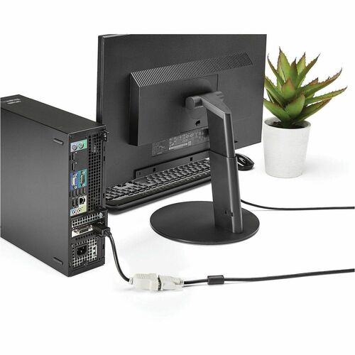 StarTech.com DisplayPort to DVI Adapter, DisplayPort to DVI-D Adapter/Video Converter 1080p, DP 1.2 to DVI Monitor, Latchi