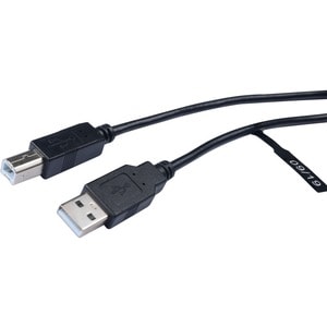 V7 V7E2USB2AB-03M 3,05 m Datentransferkabel - Cable for Computer, Peripheriegerät, Digitalkamera, Drucker, Scanner, Media-